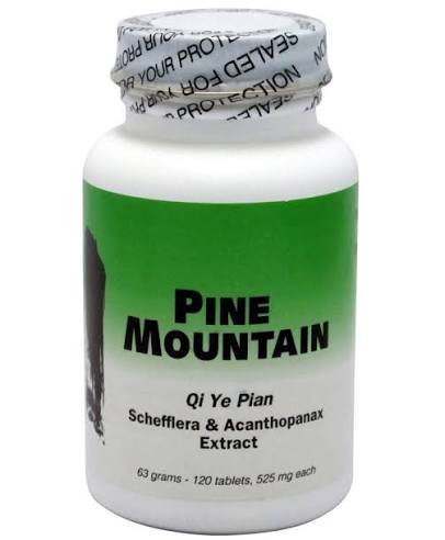 Qi Ye Pian 120 tablets