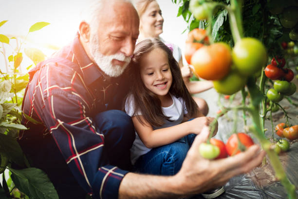 Our Certified Organic Farm in the United States